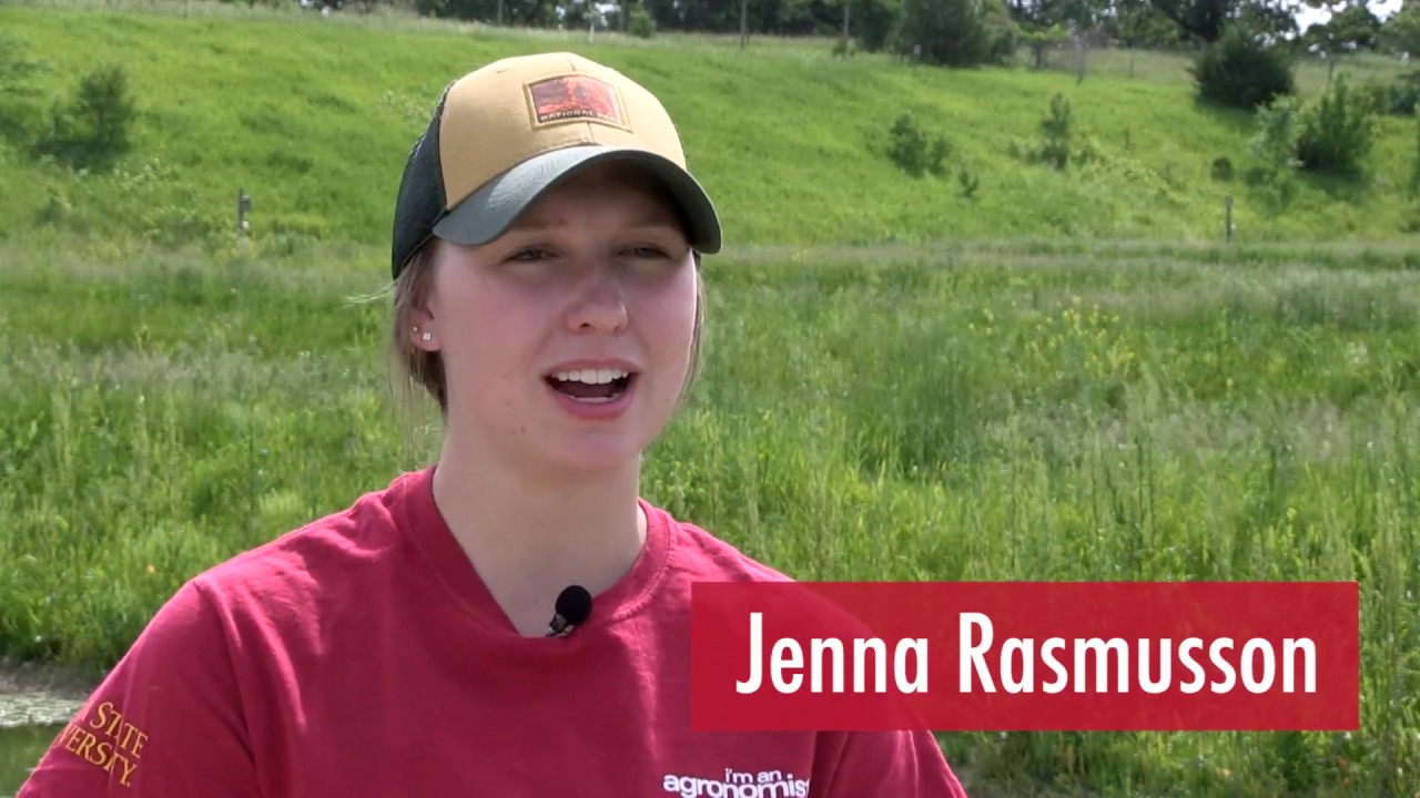 Jenna Rasmusson   My Summer Internship