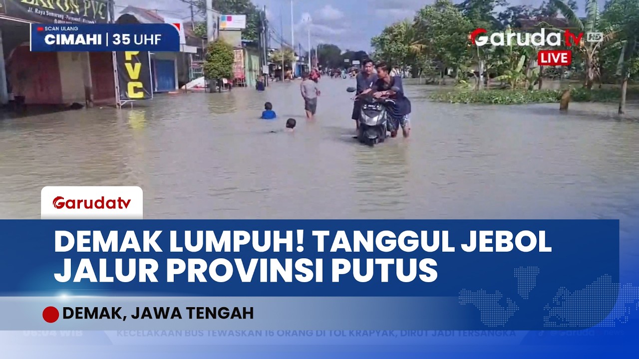 Demak Lumpuh! Dua Tanggul Sungai Tuntang Jebol, Jalur Provinsi Semarang-Purwodadi Terputus
