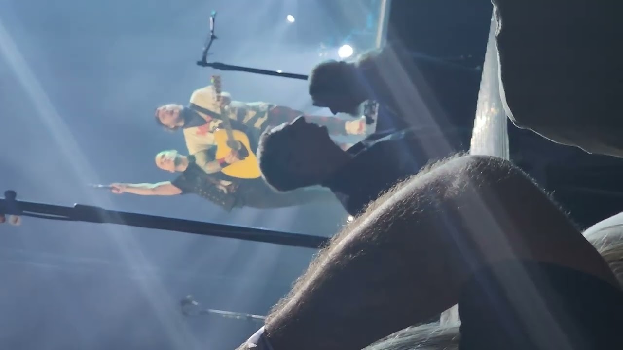 Shinedown Concert