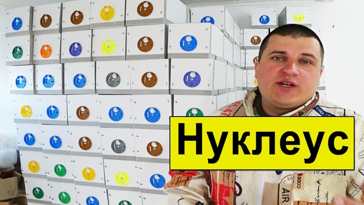 Нуклеус Из Сендвич Панелей ✅ Изготовление 🐝