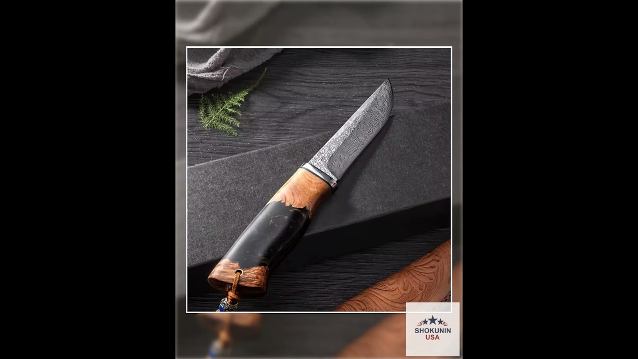 Predator Japanese Damascus Steel Knife with Exotic Olive Wood Burl & Resin Handle