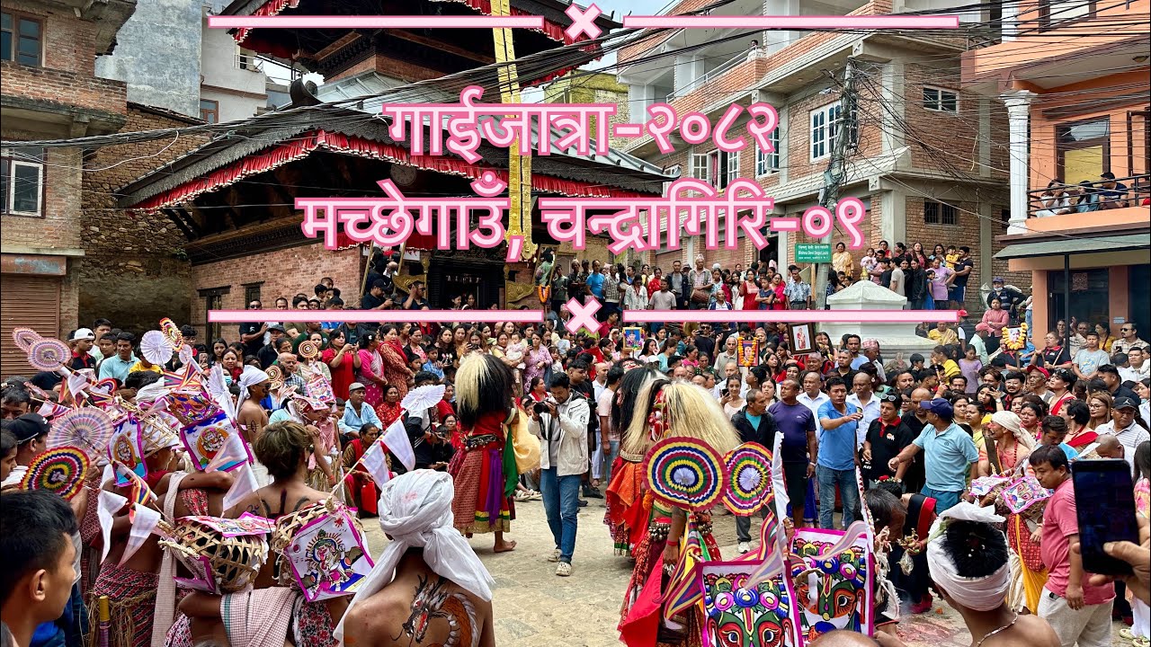 Machchhegaun Gai jatra 2082//SHYAM SHRESTHA 