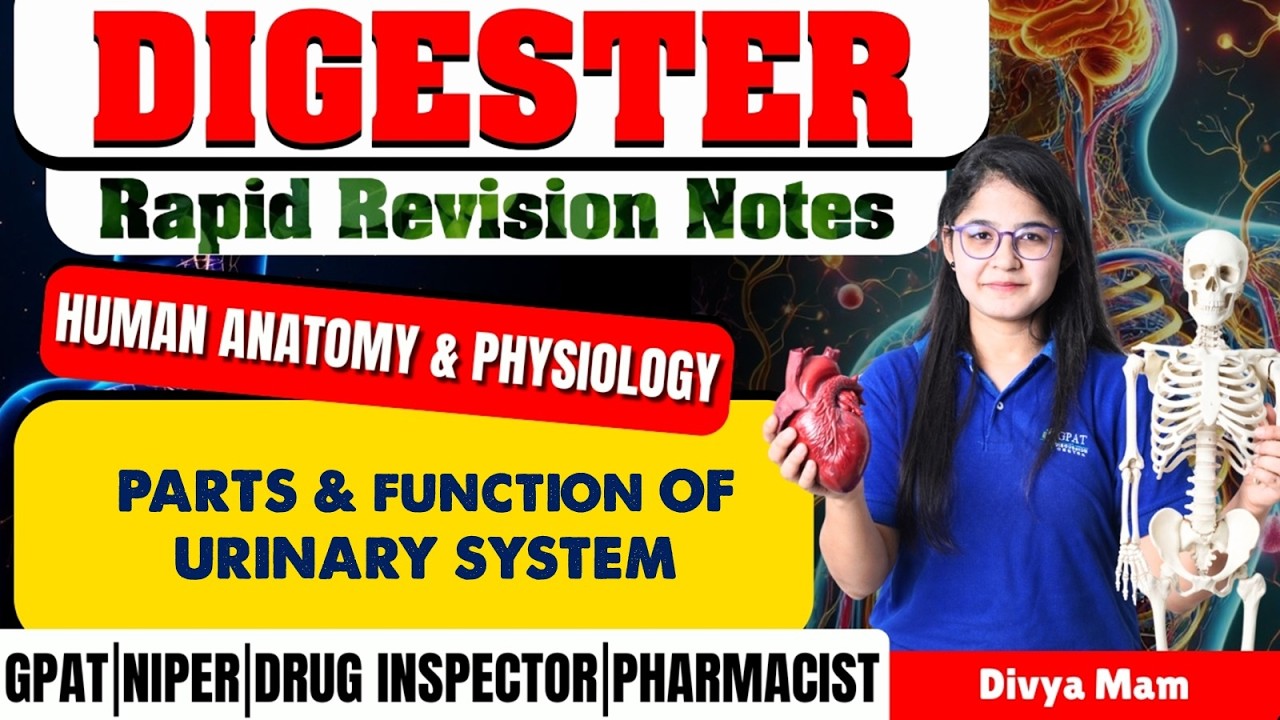 D-233 | Parts & Functions of Urinary System- Human Anatomy & Physiology | Rapid Revision