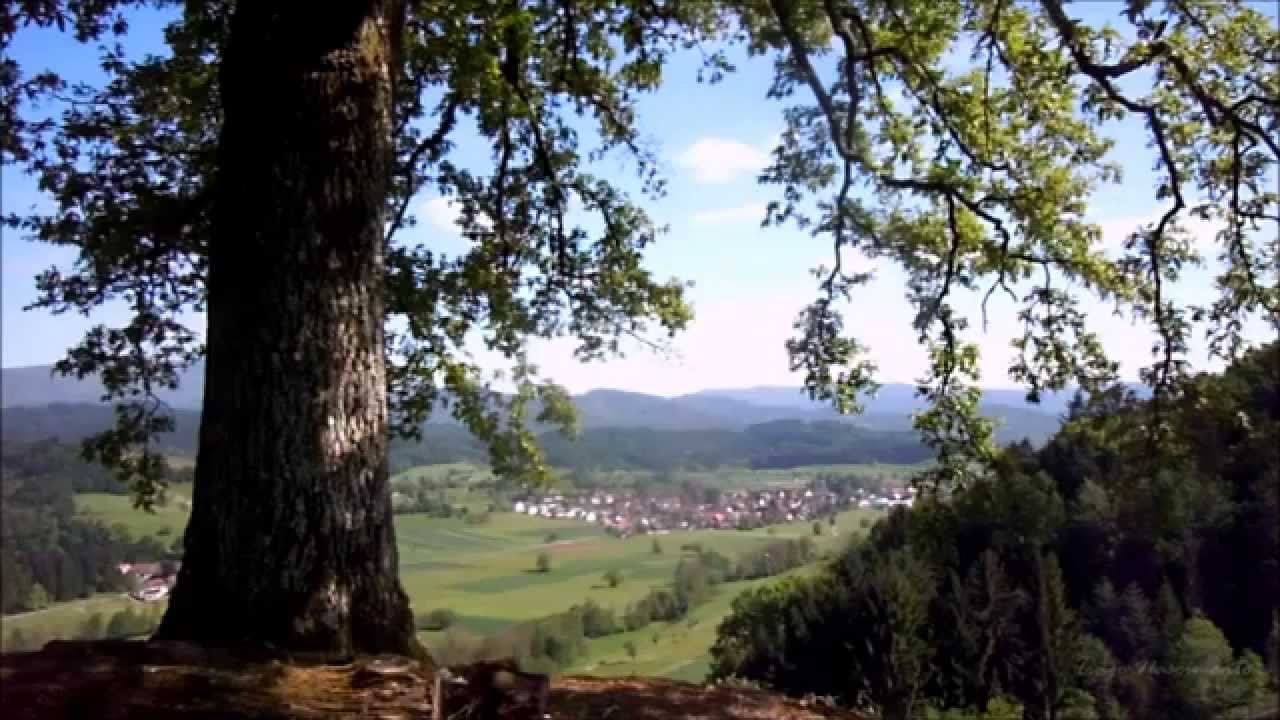 Sounds of Nature - Black Forest - Germany - HD