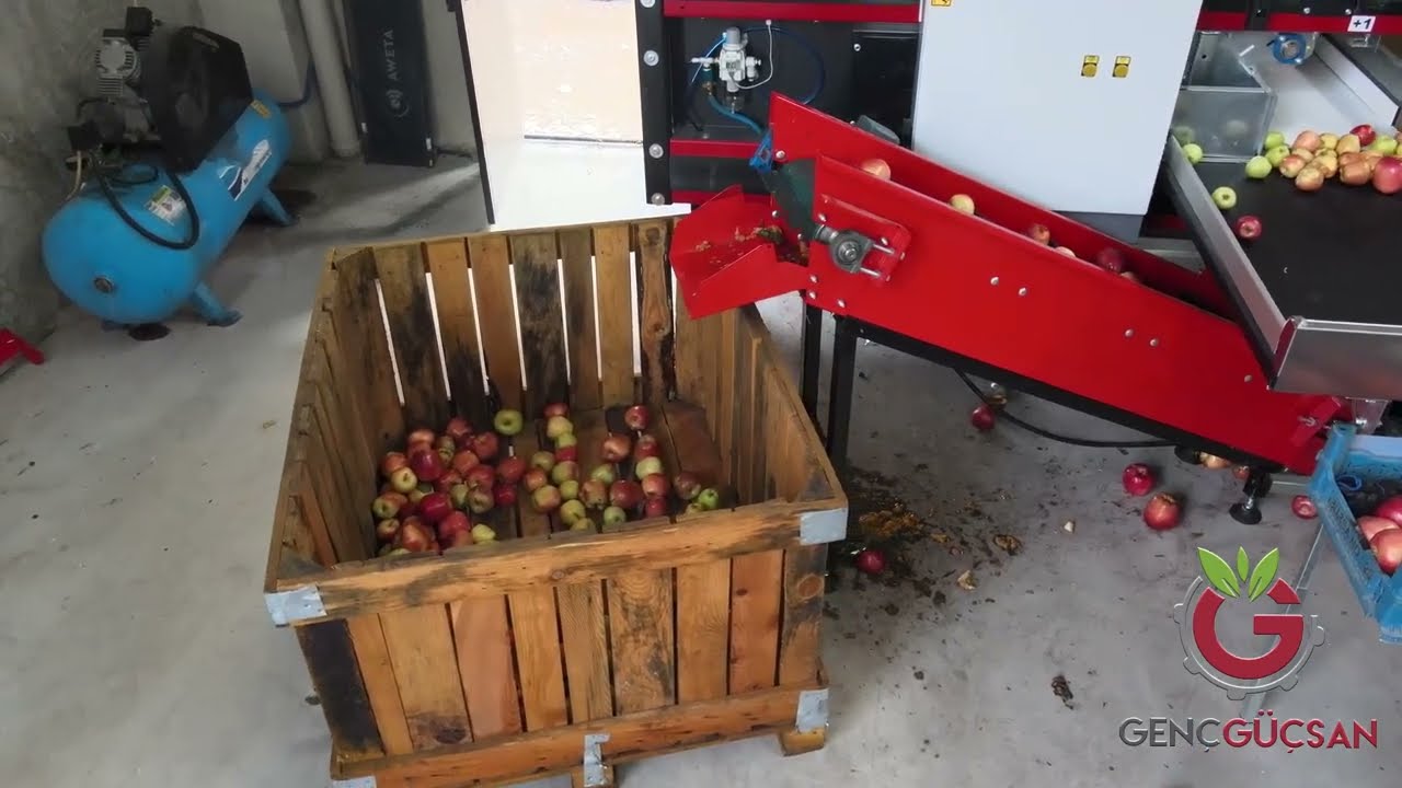 ERENLER SOĞUK HAVA DEPOSU ÇİVRİL/DENİZLİ ELMA BOYLAMA MAKİNESİ