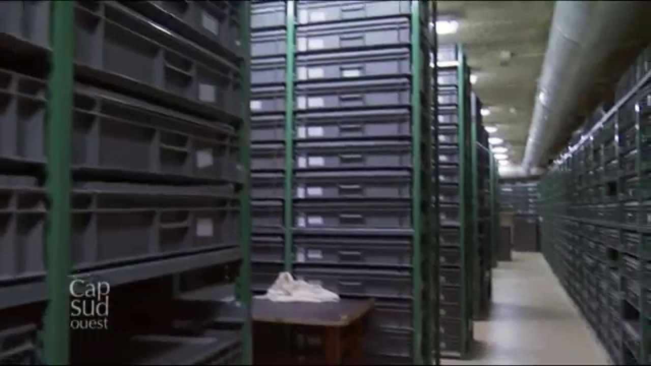 Cap Sud-Ouest - Le musée de la préhistoire des Eyzies