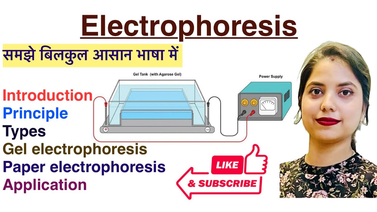 Electrophoresis in Hindi | Types | Gel electrophoresis | Application | Biochemistry | MLT
