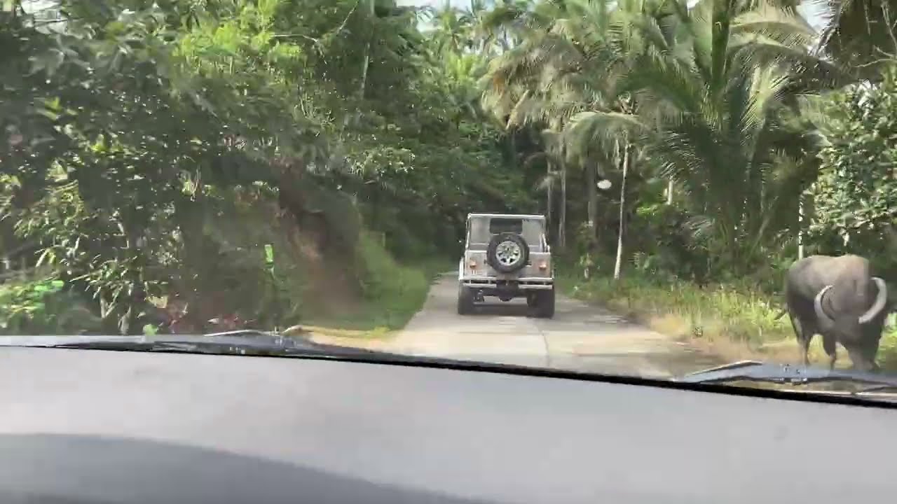 Buhay Probinsya - Road Trip Mangamnan to Labo Sta. Cruz Via Bocboc 