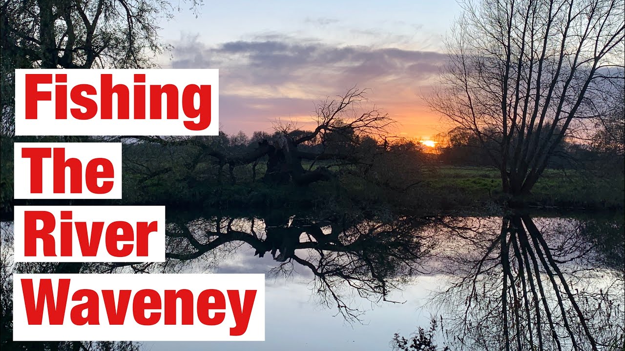 Join me on the snowy banks of the river Waveney