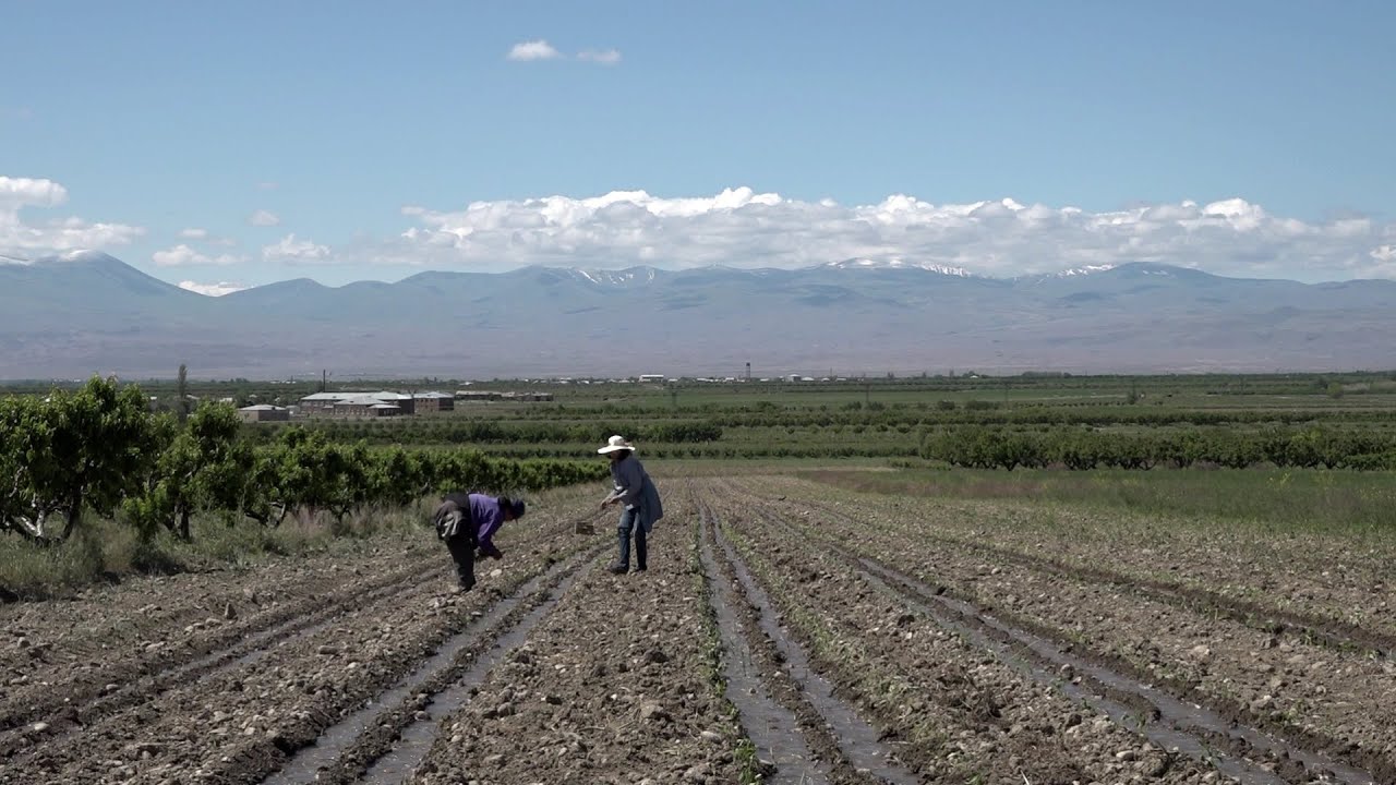 Հուշակերտ  գյուղ