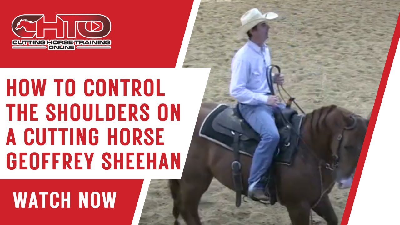 How To Control The Shoulders On A Cutting Horse Geoffrey Sheehan