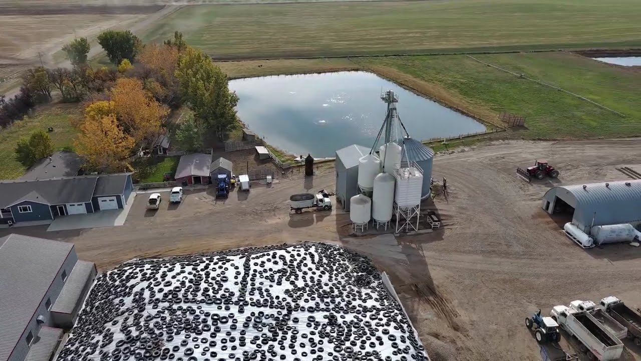 Feedlot Operation