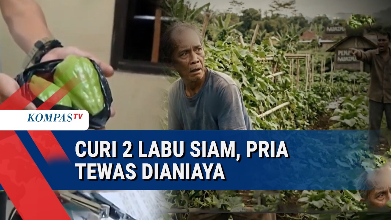 Kepergok Curi 2 Labu Siam, Pria Tewas Dianiaya