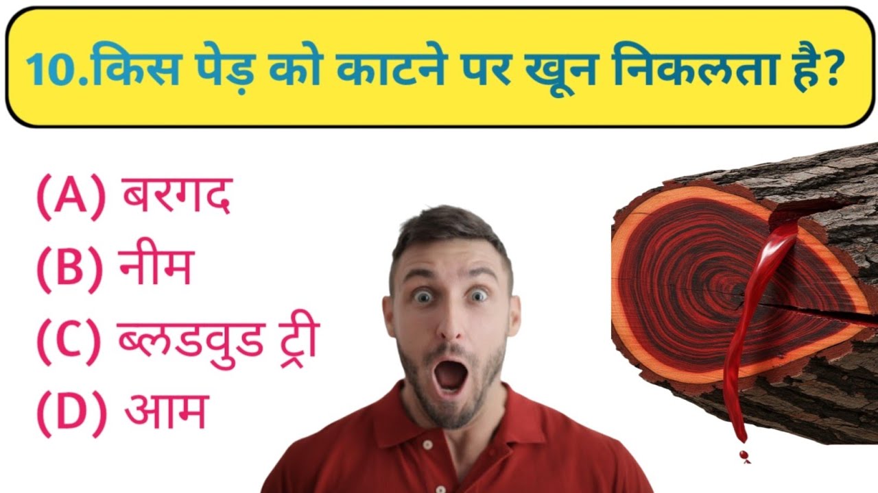 किस पेड़ को काटने पर खून निकलता है? 😱| gk questions | gk in hindi 