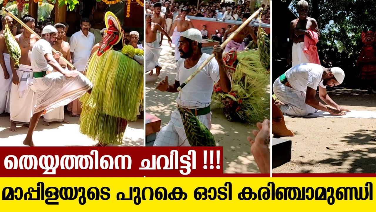 മാപ്പിളയുടെ പുറകെ പാഞ്ഞടുത്ത് കരിഞ്ചാമുണ്ഡി | karim chamundi | mappila theyyam