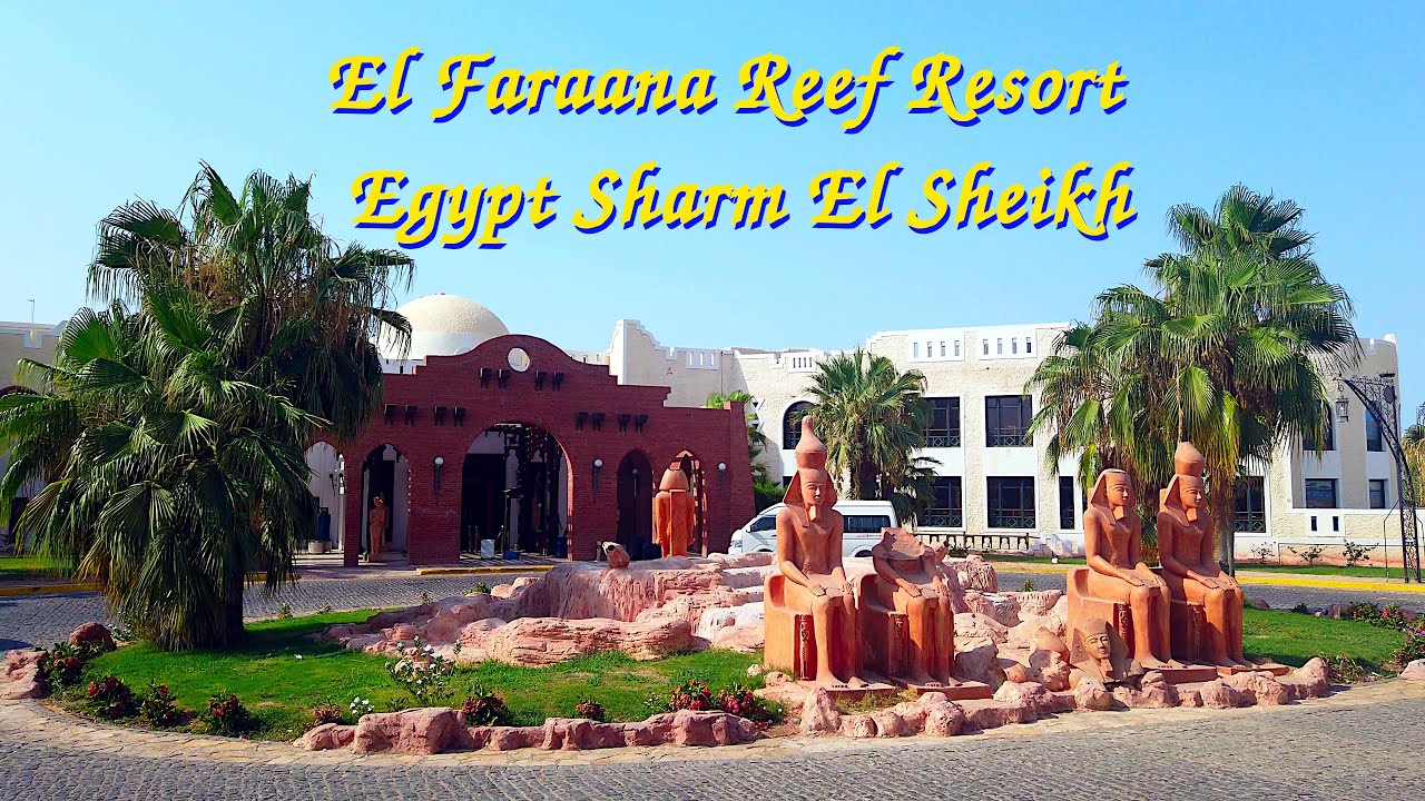 Отель Faraana Reef Resort 4* Egypt, обзорный осмотр - инспекция отеля, услуги, удобства и завтрак