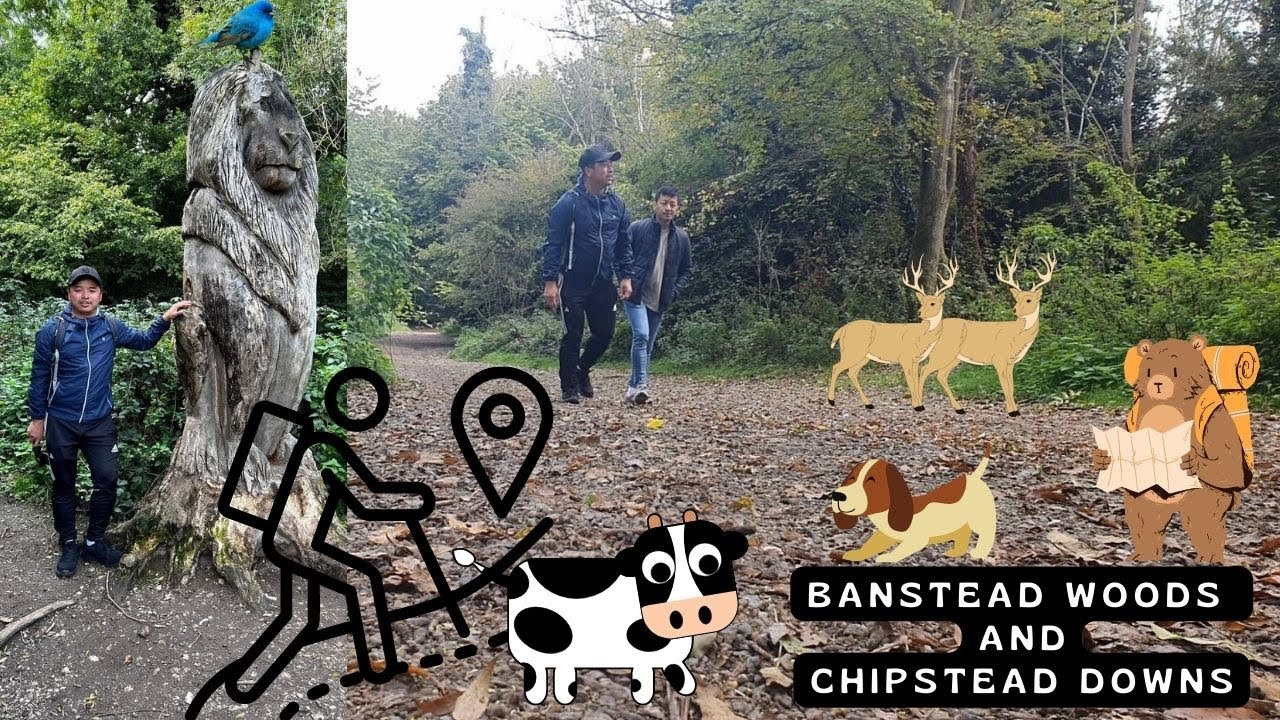 Banstead Woods and Chipstead downs