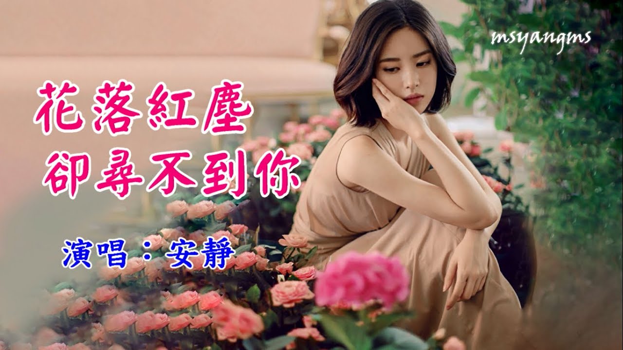 花落紅塵卻尋不到你　安靜（好聽）