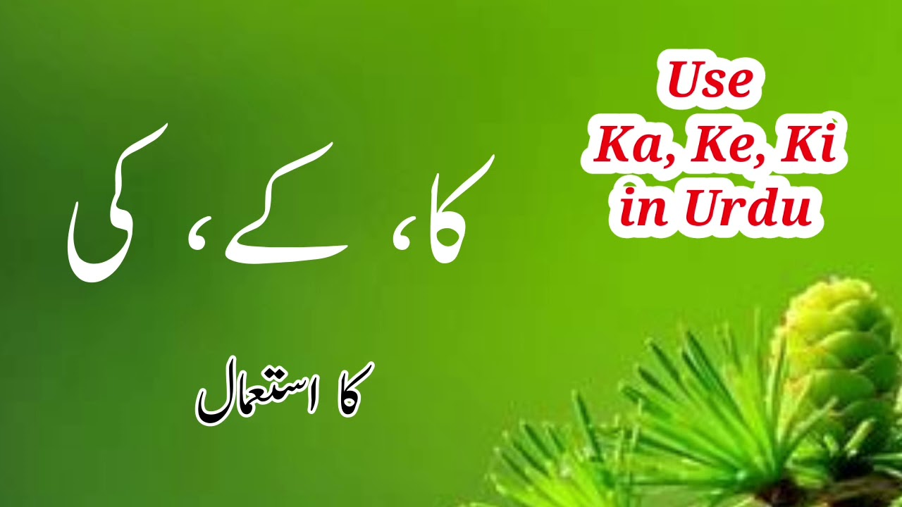 Ka Ke Ki ka istemal || کا کے کی کا استعمال || حروف اضافت|| مضاف اور مضاف الیہ || Urdu Seekhen