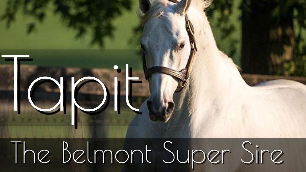 Belmont Stakes Super Sire - TAPIT