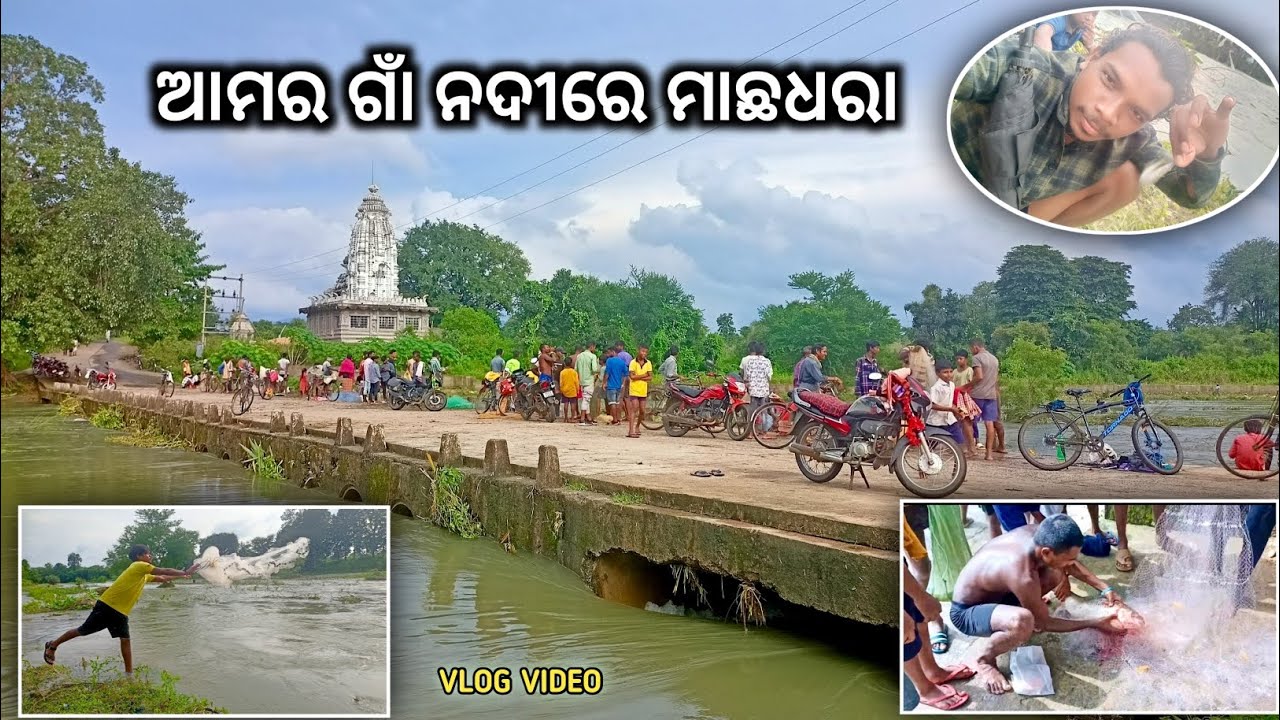 Dam Gate Open // ଆମର ଗାଁ ନଦୀରେ ମାଛଧରାବାର ଭିଡ଼ // ନଈ ବଢି // Sambalpuri vlog video