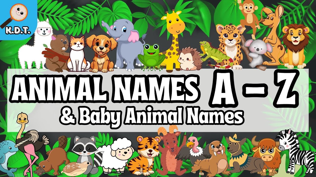 🐣🐤 90 Animal Names & Baby Animal Names from A to Z (Learn the Alphabet) | Animals Alphabet for kids