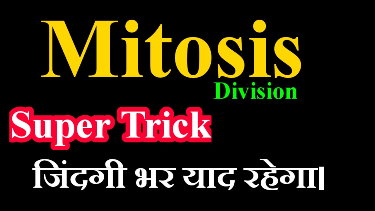 MITOSIS TRICK ।। Mitosis Trick । Mitosis tric । Cell Division । NEET 2021 । Tric । Mitosis ki tric