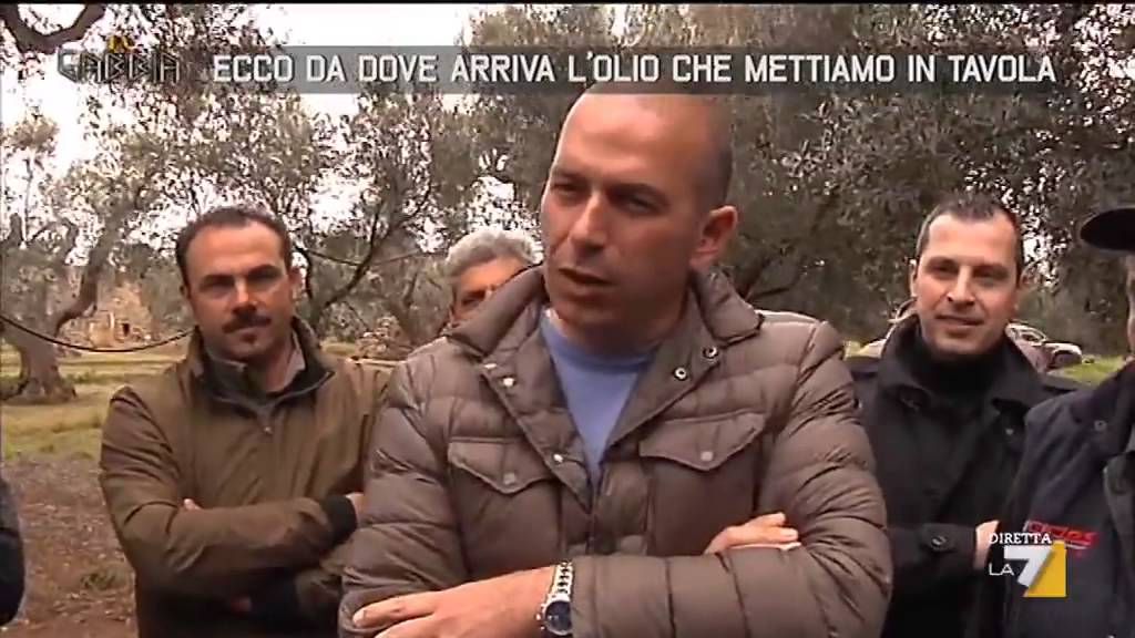 Ecco da dove arriva l'olio che mettiamo in tavola