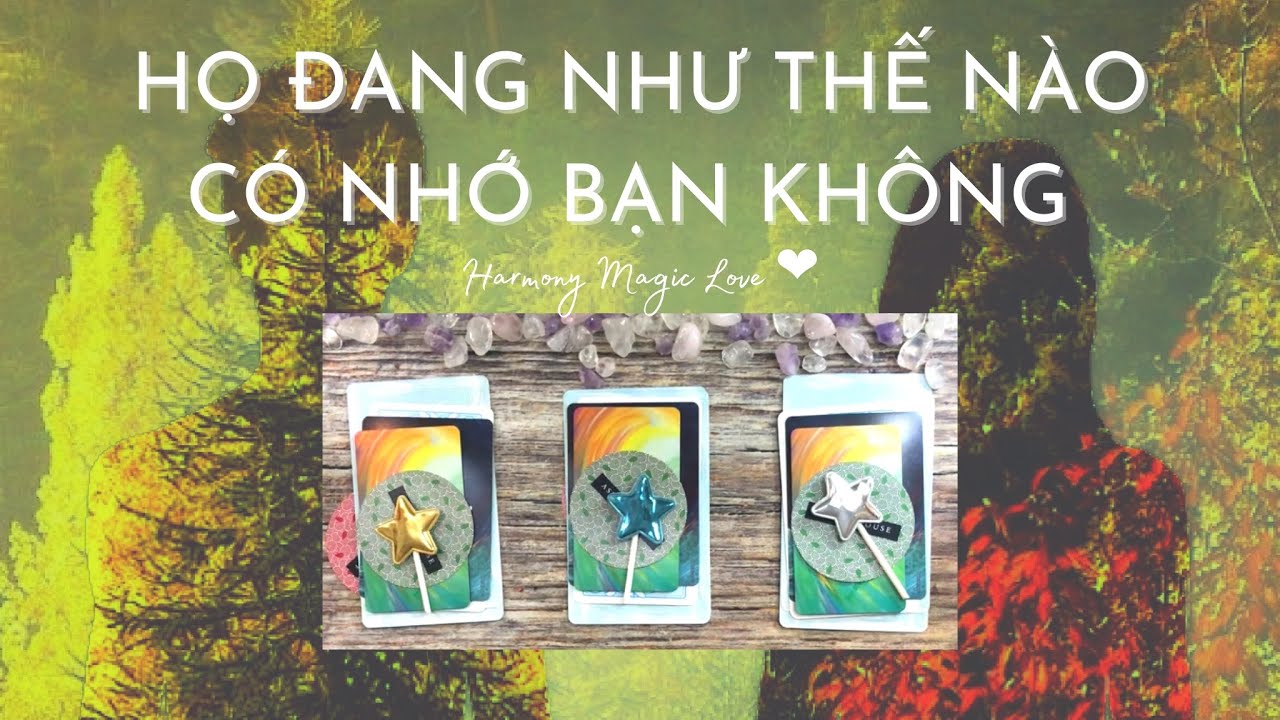 Chọn 1 tụ bài #Tarot BIGLOVE ❤️HỌ ĐANG RA SAO? CẢM XÚC HỌ DÀNH CHOBẠN VÀ HỌ CÓ NHỚBẠN🔮#tarottinhyeu