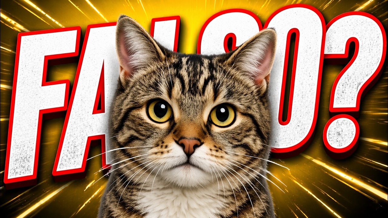 Impossível Adivinhar! Qual Gato é Real e Qual é IA? 🐱
