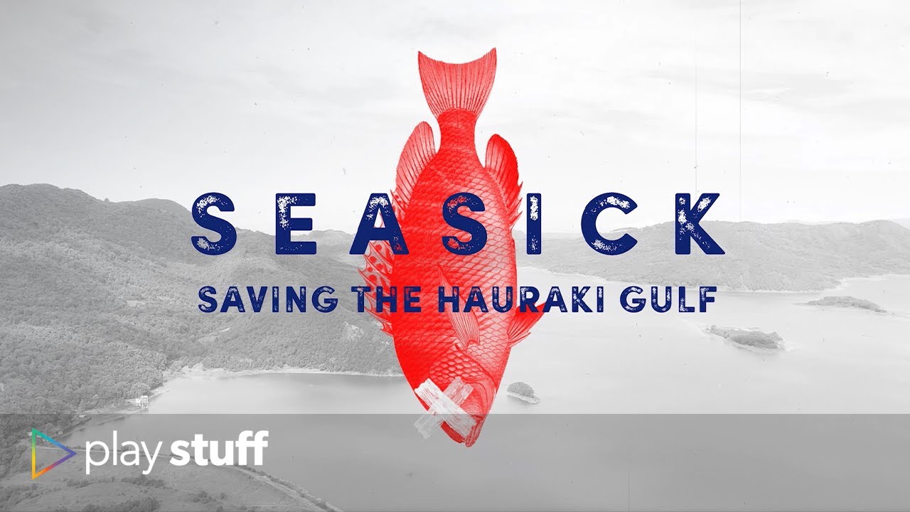 Trailer: Seasick, saving New Zealand's Hauraki Gulf | Stuff.co.nz