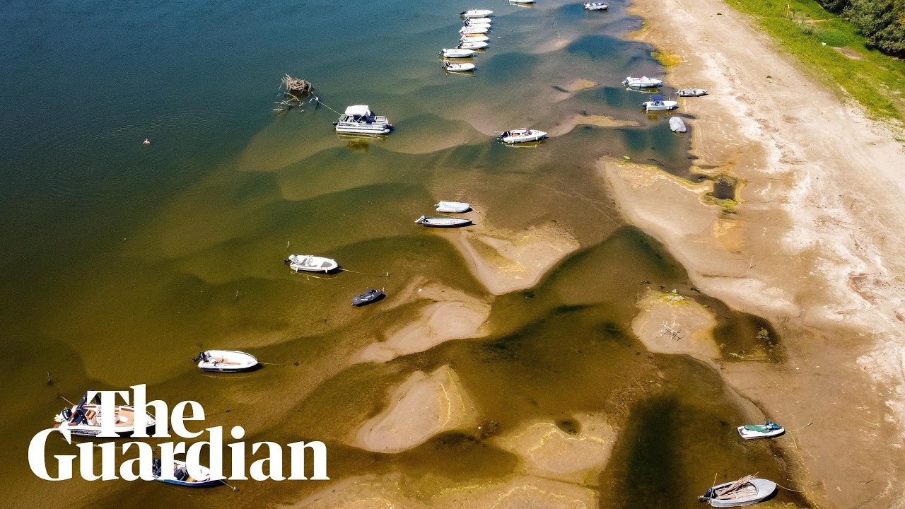 Record low water levels across Europe reveal mammoth skeletons and forgotten shipwrecks