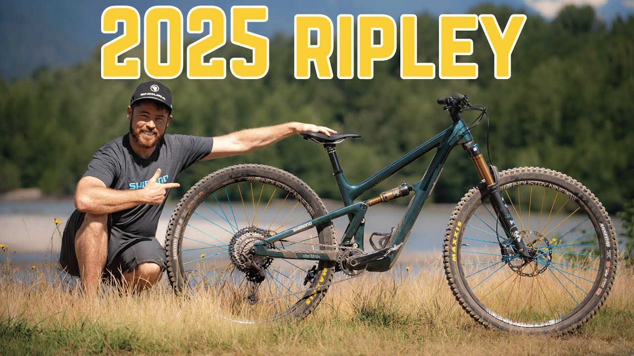 Тот, который я бы купил — Ibis Ripley 2025 года.