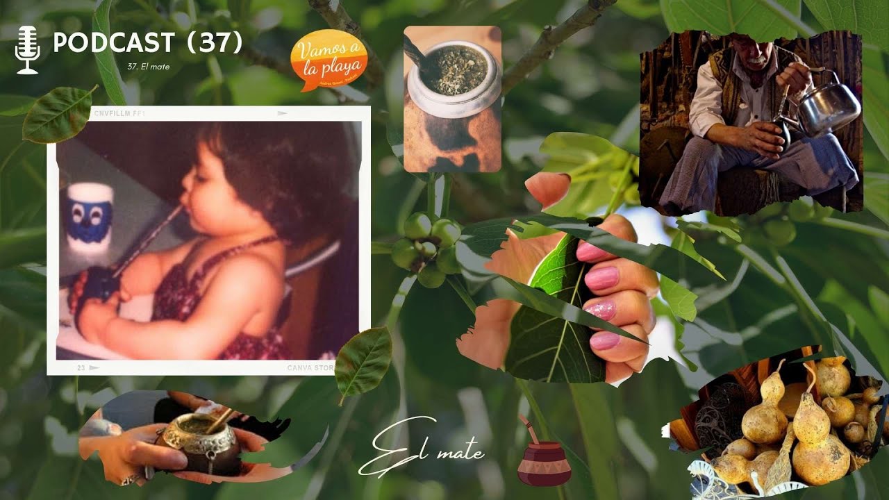 37.El mate. 🧉Esta bebida tan conocida para unos es un enigma para otros. 🌱¡Te la presento!