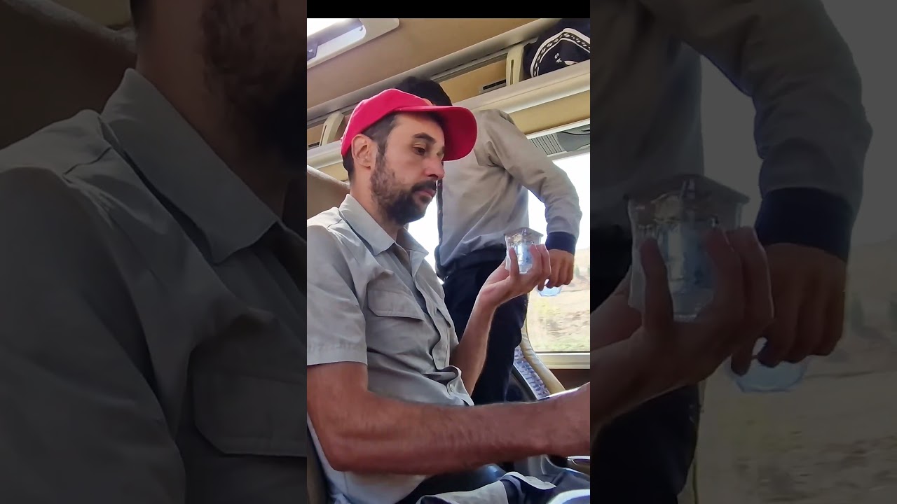Le service dans les bus en Turquie est incroyable ! rien &agrave; voir avec Flixbus #shorts
