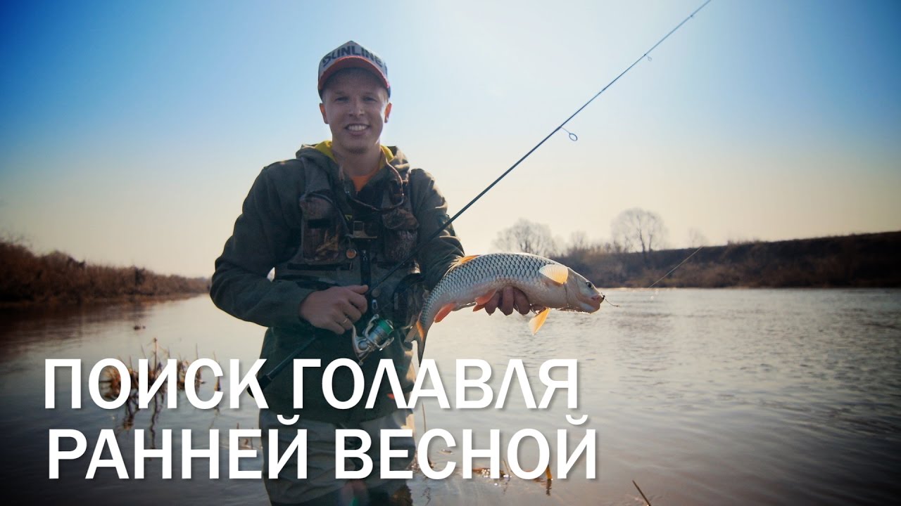 Весной на малой реке. Поиск активного голавля.