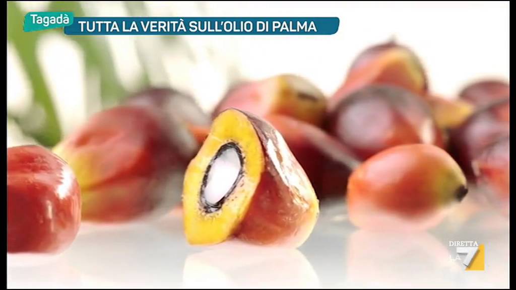 Tutta la verit&agrave; sull'olio di Palma