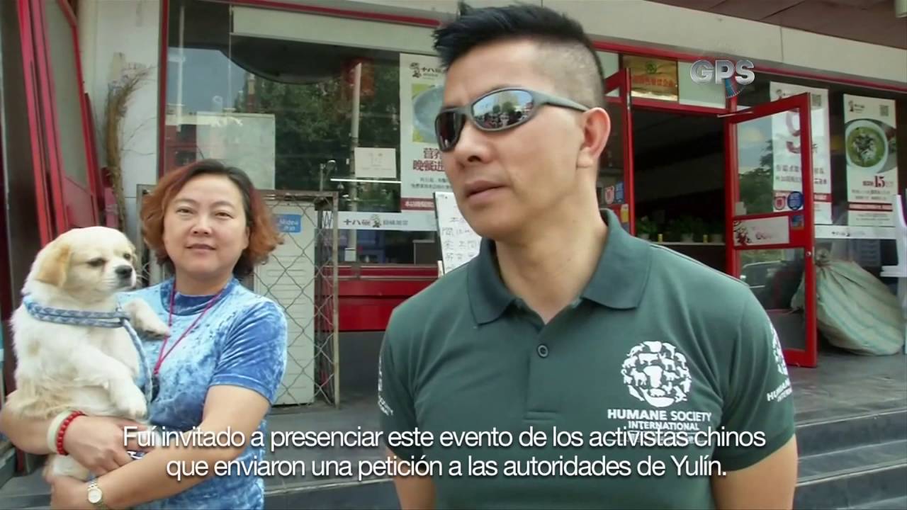 Polémica en China por el festival de carne de perro 2016
