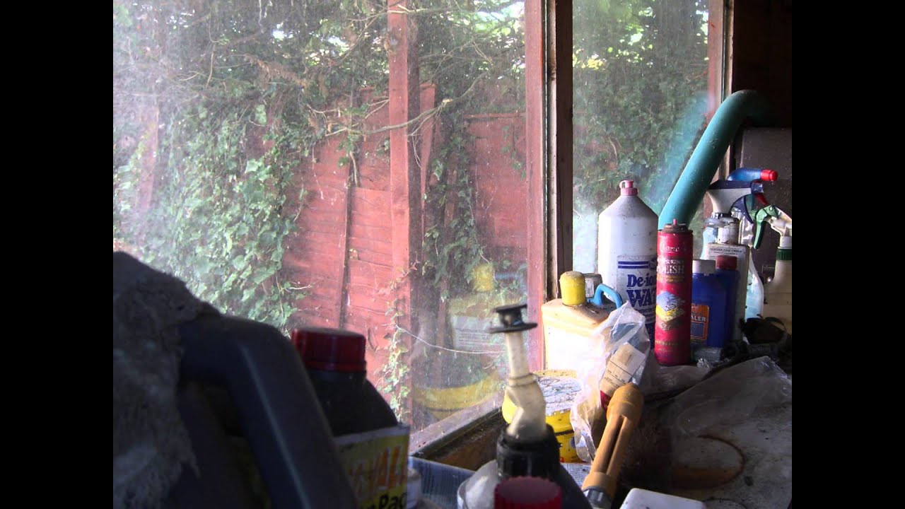 The Shed