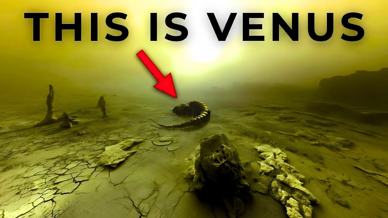 The Object That Appeared On Venus And Why We Ignored It