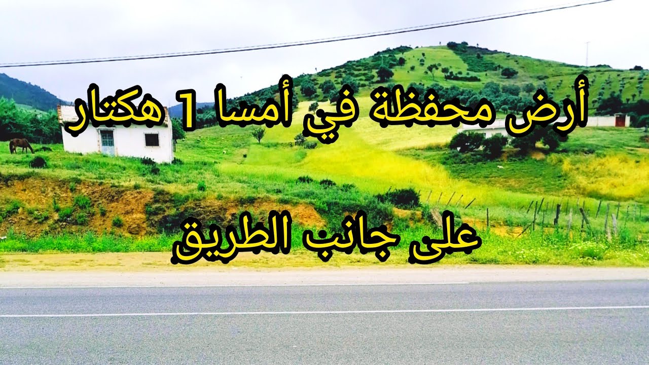 أرض محفظة للبيع في أمسا 1 هكتار على الطريق الرئيسية وتطيل على البحر 0662125633