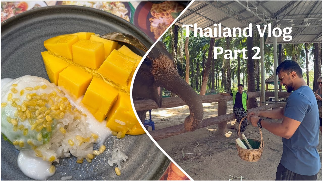 Thailand Vlog Part 2