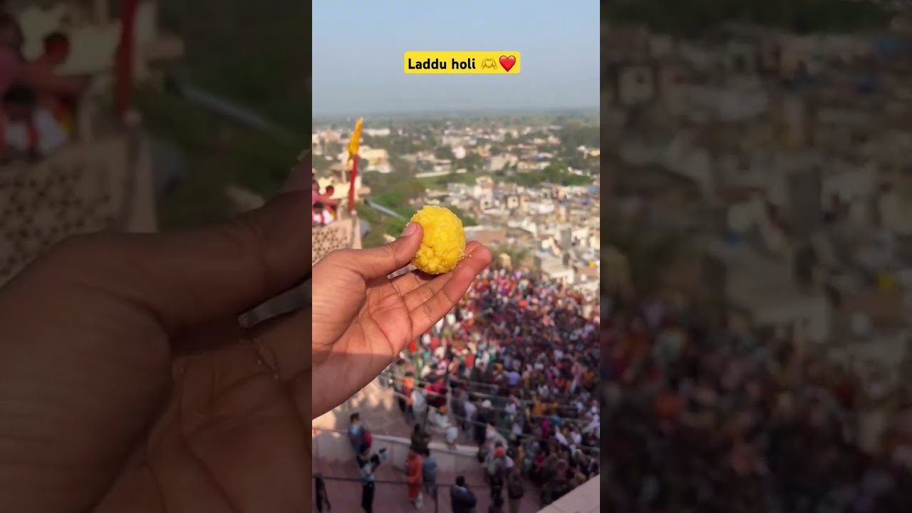laddu holi barsana 📍 #barsana #vrindavan #ytshort #viral #trending #shorts