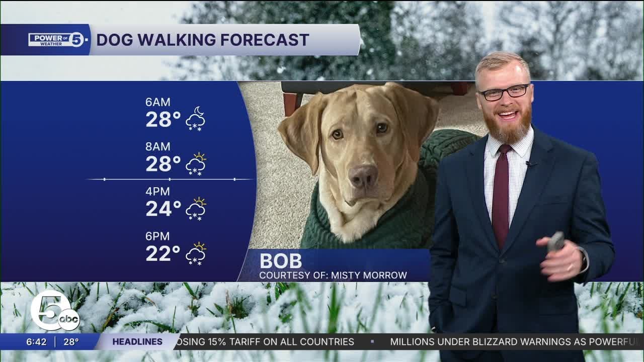 'Ruff' Monday Dog Walking Forecast
