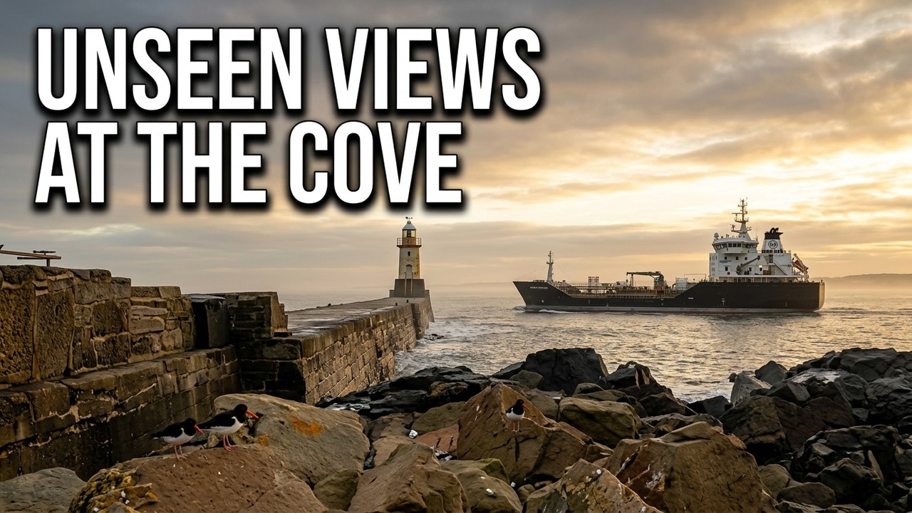 JAN 13th 2026 GREYHOPE COVE WALK