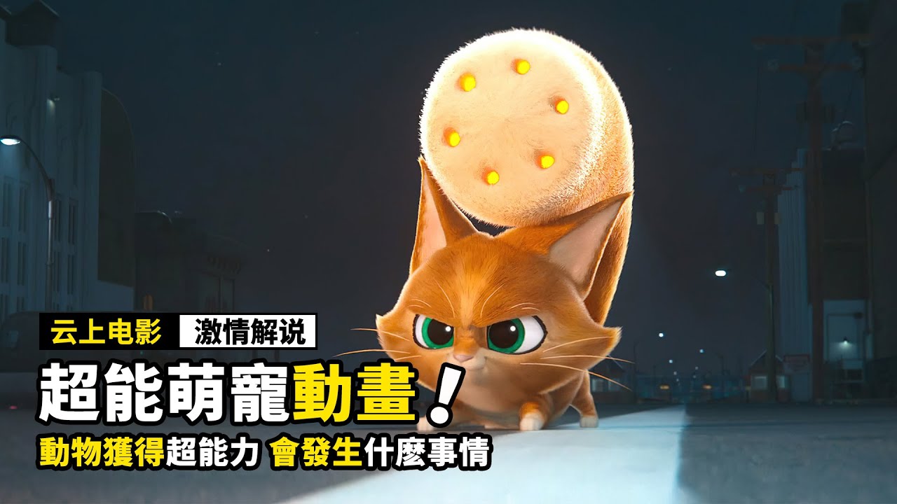 動物獲得超能力，居然拯救了超級英雄，真的太厲害了！動畫電影丨奇幻電影丨萌寵動畫