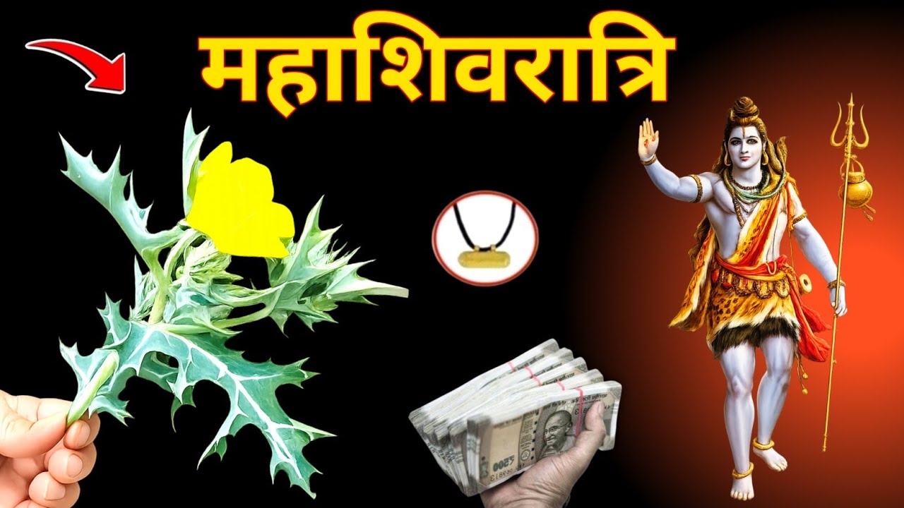 पैसा खींचता हैं भगवान भोलानाथ ने बताया महाशिवरात्रि पर ये जड़ पहनने के 10 गुप्त चमत्कार//#shivratri