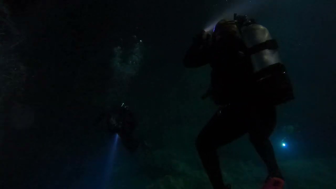 Devils Den 2 15 26 Lisa Night Dive Checkout Video 1