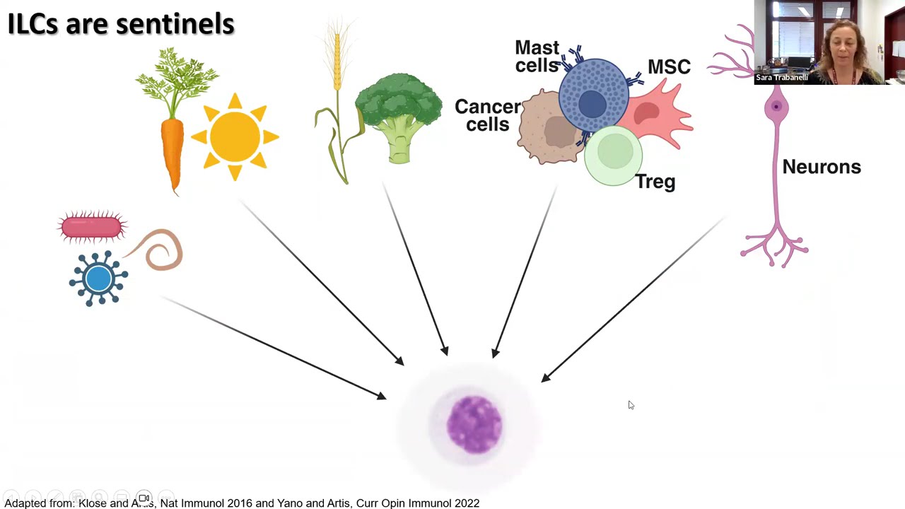 [Sara Trabanelli] L'anticipazione neurale dell'infezione virtuale innesca una risposta immunitaria