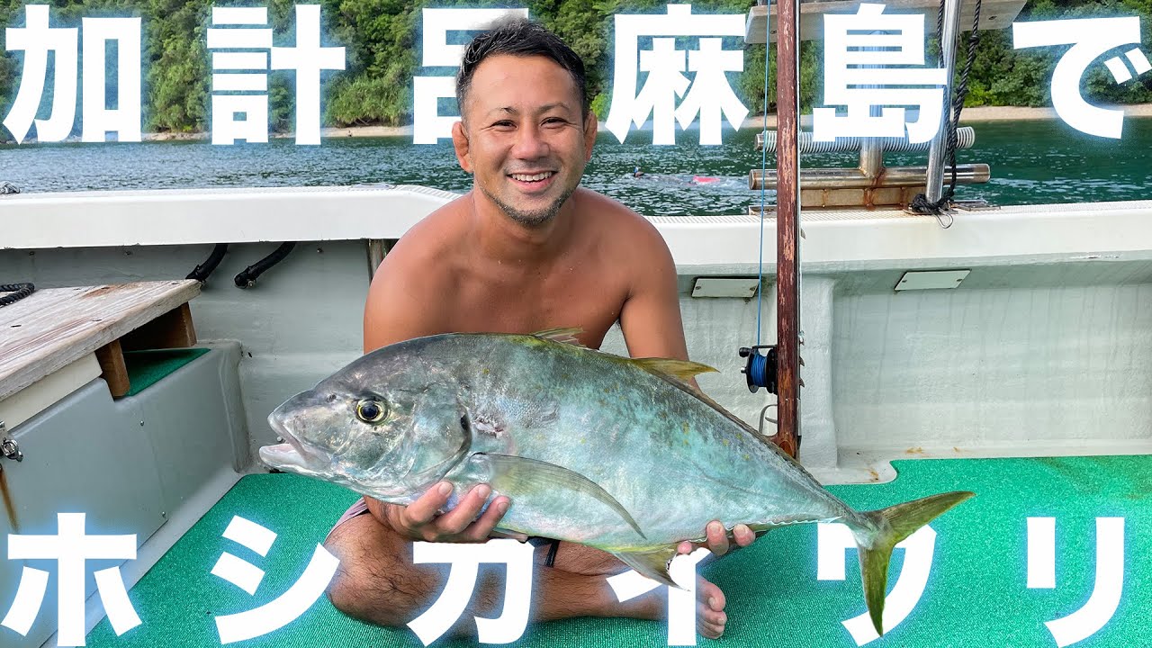 【奄美大島】外洋魚突き！海峡内で大物GET！！